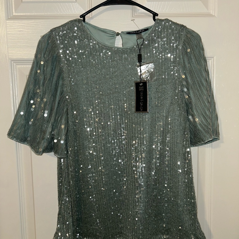 Cable & Gauge Green Sequin Short Sleeve Blouse